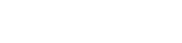agostasalon.com Logo